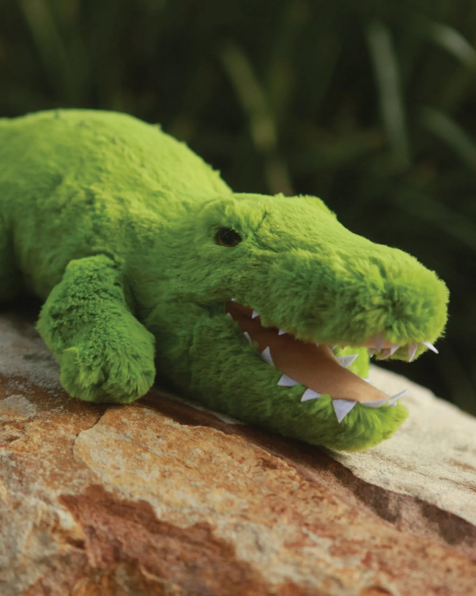 Animal Allsorts Charlie Crocodile