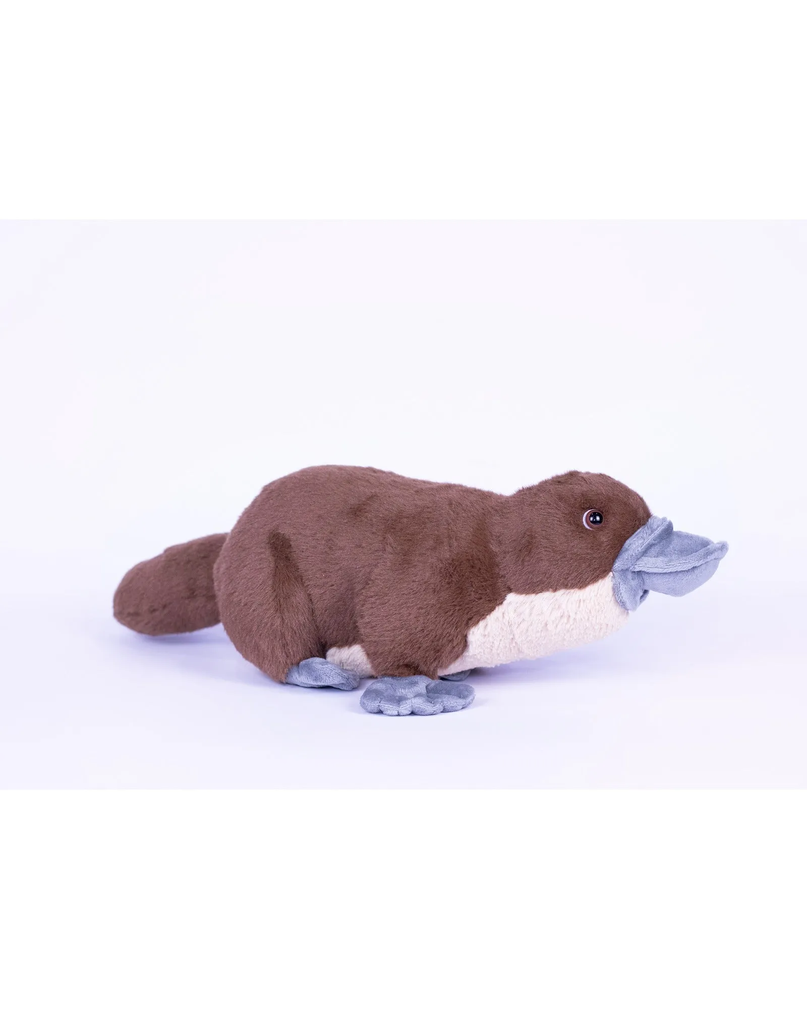 Animal Allsorts Poppy Platypus