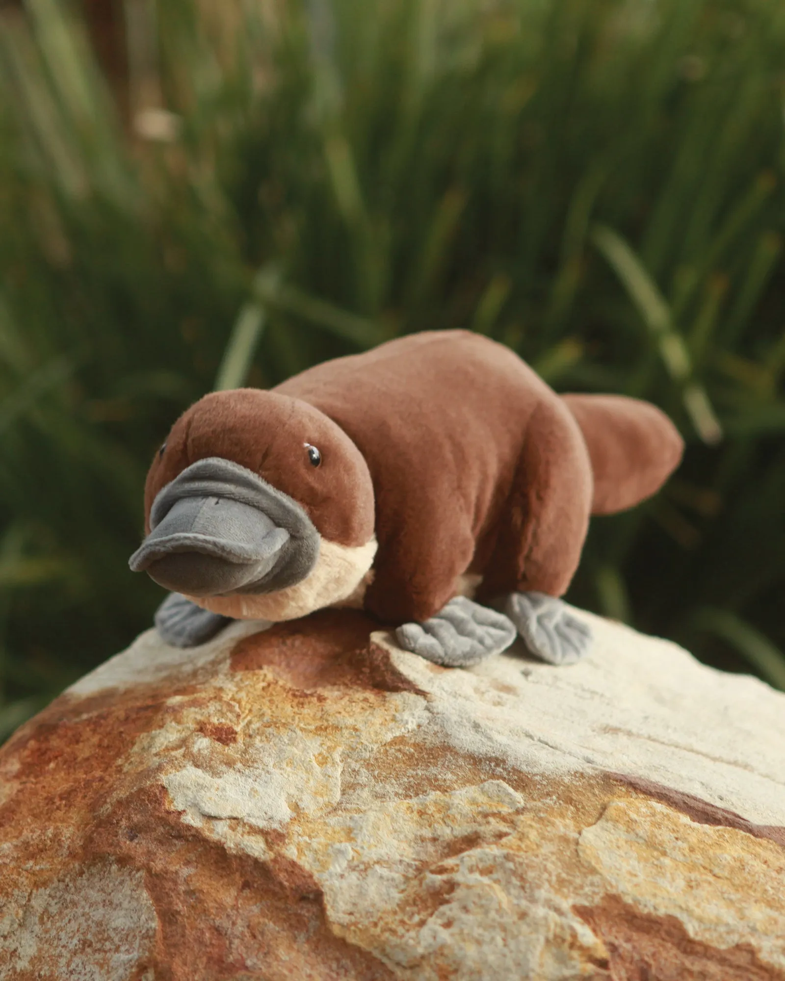 Animal Allsorts Poppy Platypus