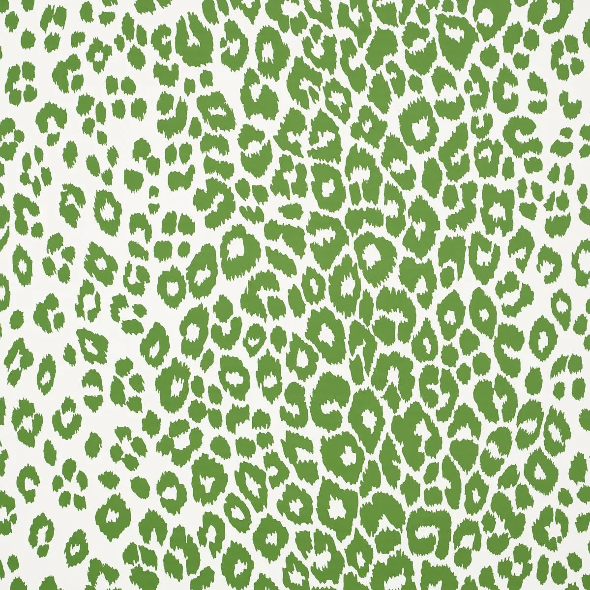 Iconic Leopard Wallpaper