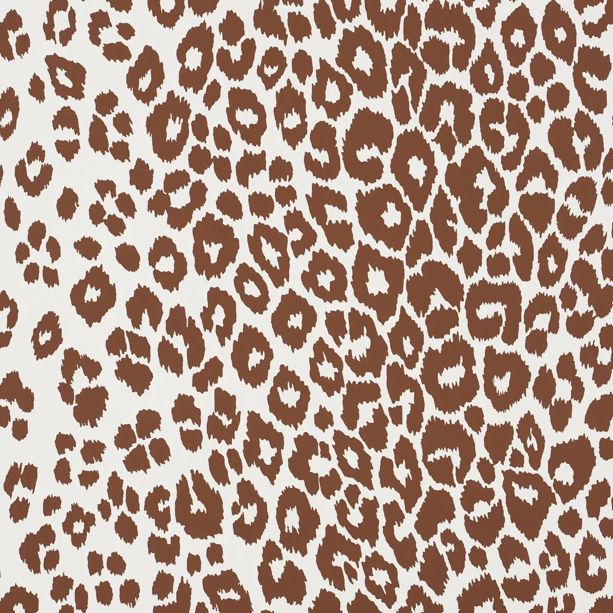 Iconic Leopard Wallpaper