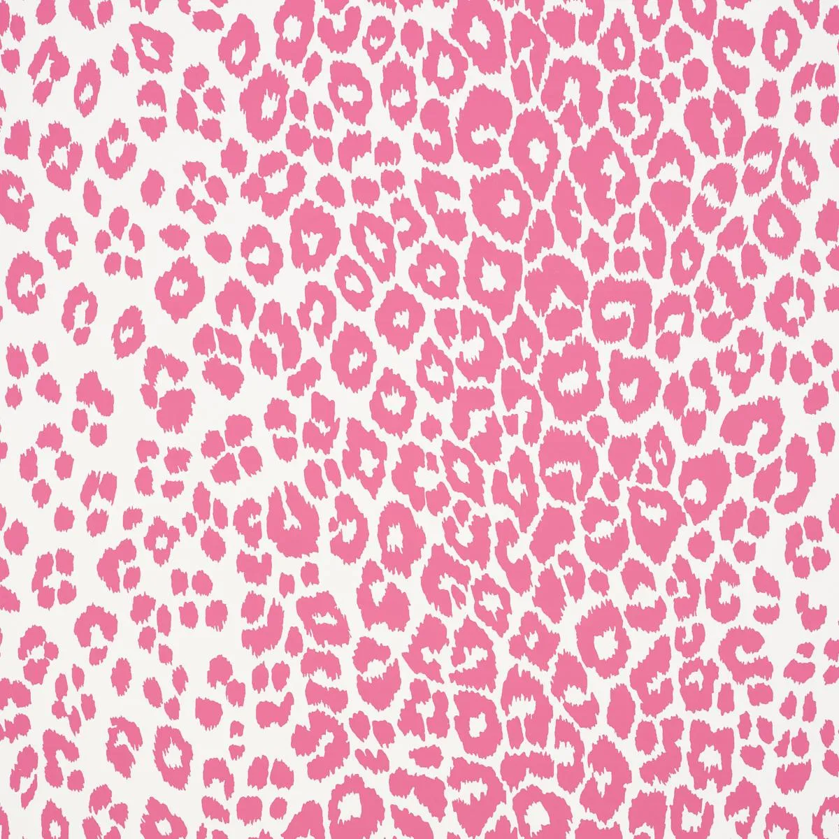 Iconic Leopard Wallpaper