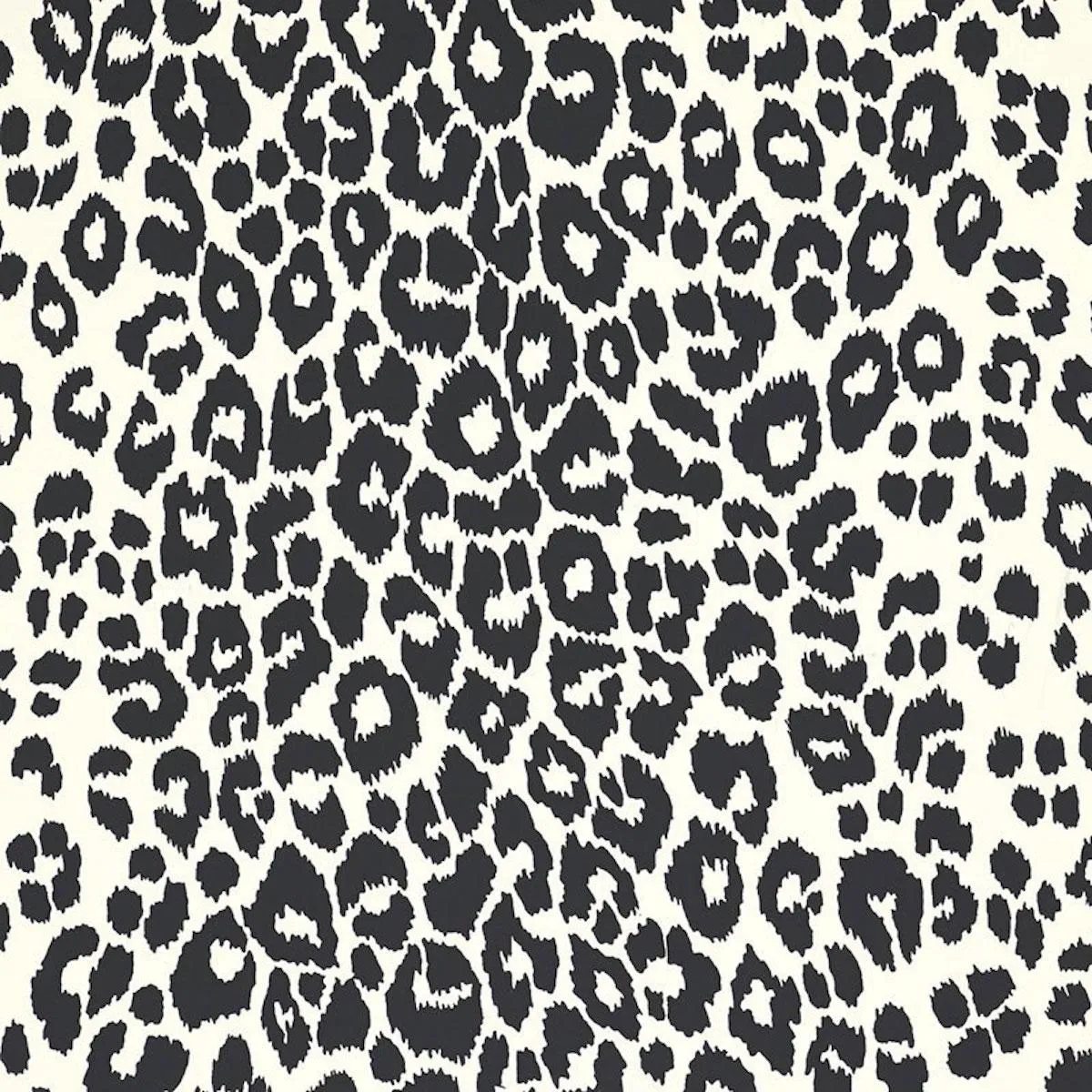 Iconic Leopard Wallpaper