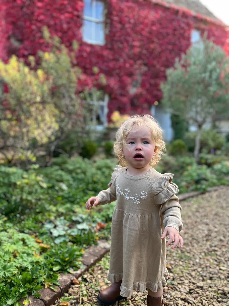Oatmeal Embroidered Ruffle Sweater Dress