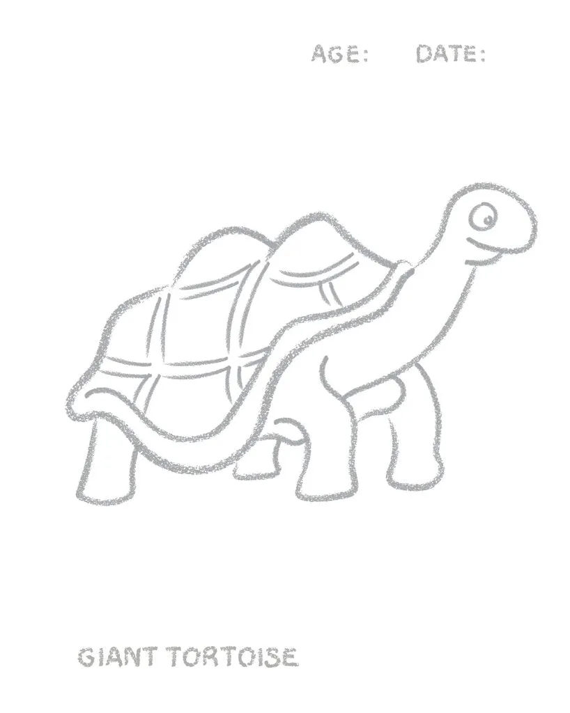 Toddlers First Colouring Book - Endangered Animals
