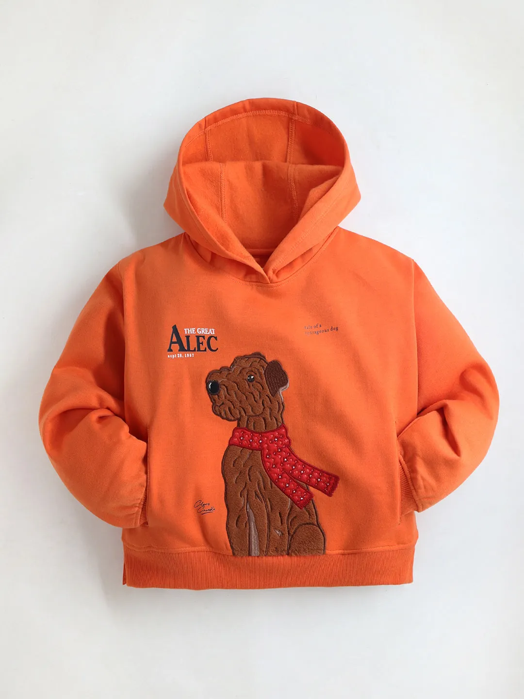 Vibrant Orange Unisex Full Sleeve Relax Fit Applique Cropped Hoodie